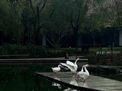 -中国丝绸博物馆