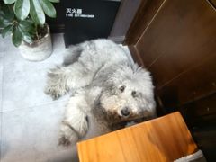 -沏点Trattoria意大利餐厅(新街口店)