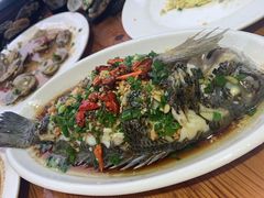 黑鲷-阿军排档·烧烤