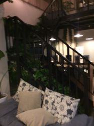 -素颜秀半永久纹眉纹眼线