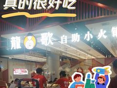 -龍歌自助小火锅(城阳万象汇店)