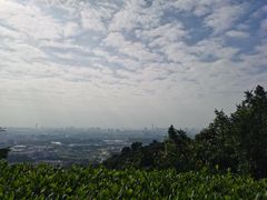 -火炉山森林公园