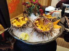 空运活海胆-天狗山料理(省体店)