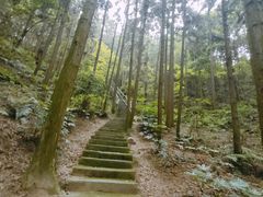 -长沙黑麋峰国家森林公园