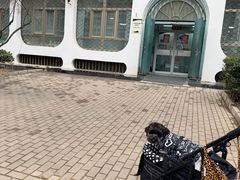 -北京赛佳动物医院