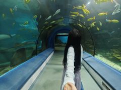 -福州罗源湾海洋世界旅游区