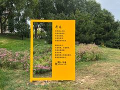 -观澜小洱海