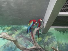 -福州罗源湾海洋世界旅游区