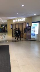 -YESIDO椰岛造型