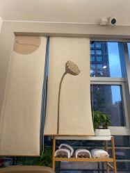 -初心はつ こころ日式美甲美睫沙龙