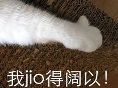 -龙潭水乡