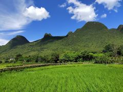 -万峰林风景区