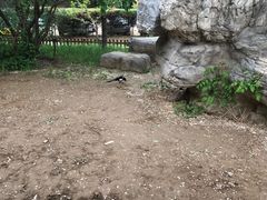 -王府井天主教堂