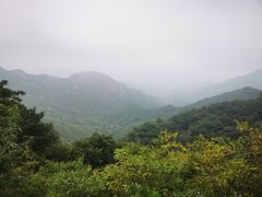 -大岭沟猕猴桃谷风景区