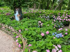 -上海共青森林公园