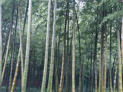 -陶祖圣境风景区