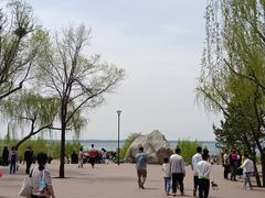 -红碱淖景区