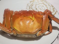 -蟹榭·莳鲜(虹桥高岛屋店)