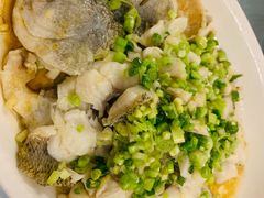香葱淋鲈鱼-粤·向群饭店(龙津东路总店)