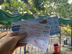 -广东惠东海龟国家级自然保护区