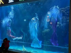 -邯郸海洋世界