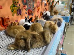 -三旗百汇商品城