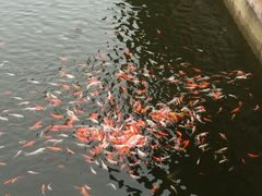 -东部华侨城