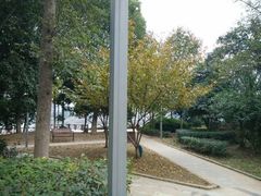 android_upload_pic-喷泉公园
