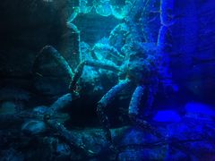 -沈阳海洋探索中心