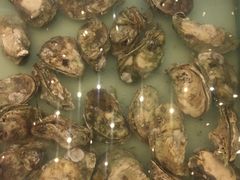 -东方广场假日酒店-蜀咖啡餐厅