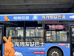 -帕帕拉兹宠物(亚洲旗舰店)