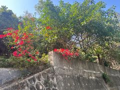 -小南山公园
