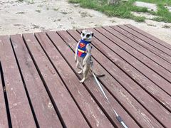 -永定河休闲森林公园