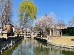 -三里河公园