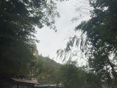 -花水湾第一村温泉大酒店