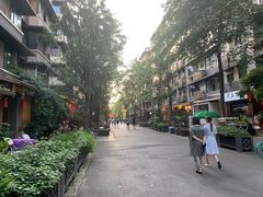 -泡桐树街