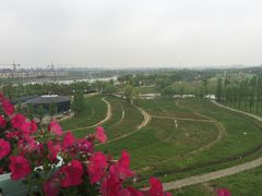 -杭州湾海上花田景区