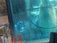 -雀舞云南菜(乐客城店)