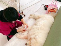 -北京恒爱动物医院(清景园分院)