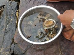 -千日贺茶餐厅(高新万达店)