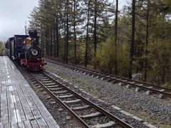 -莫尔道嘎国家森林公园