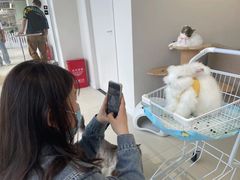 -怪兽屋·羊驼·猫咖·狗咖(俊华广场店)