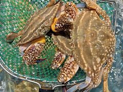 -好兄弟郭巨海鲜(天一阁店)