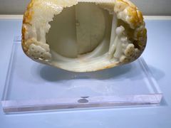 -Obligi Chicken韩式炸鸡(五道口店)
