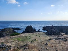 -涉地可支