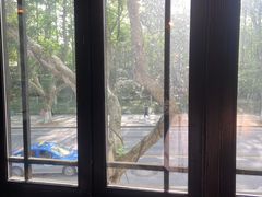 -也枫·小黄楼(南山路旗舰店)