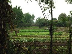 iphone_upload_pic-茂德公草堂