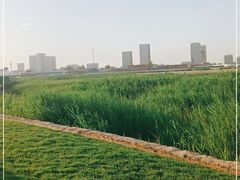 -保定东湖公园(莲池区)