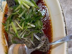 清蒸老鼠斑-富来美食(成发大厦店)