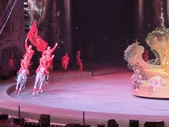 -广州长隆国际大马戏